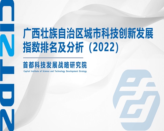 操b影院【成果发布】广西壮族自治区城市科技创新发展指数排名及分析（2022）